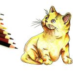 как рисовать кота