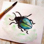 как рисовать жука