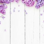 vesna-lilac-siren-flowers-tsvety-fon[1]