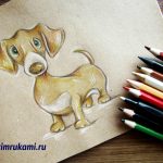 как нарисовать собаку