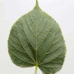 фото 6