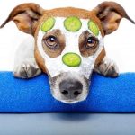 images_cms-image-000049971